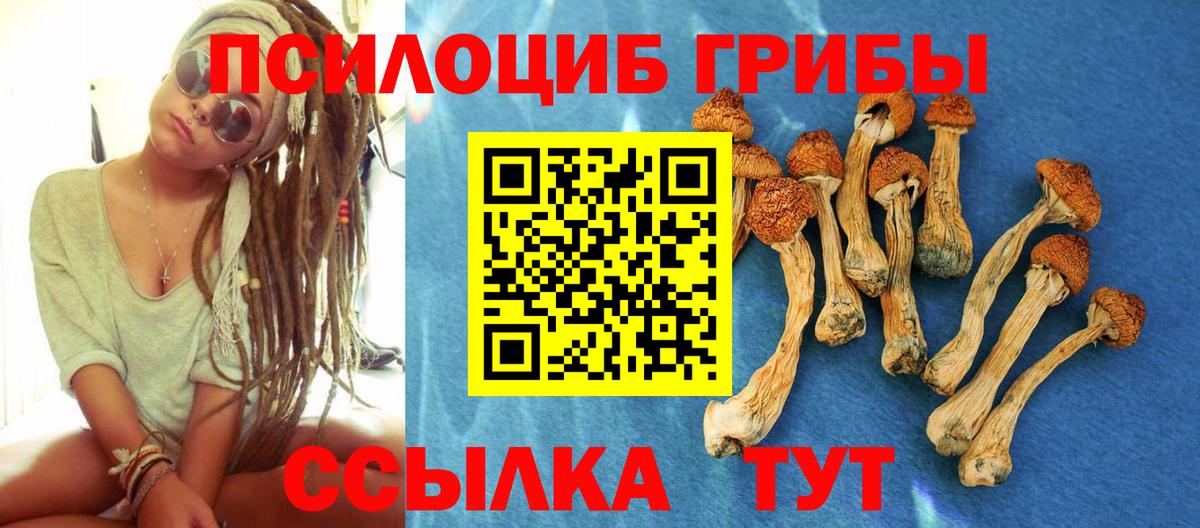 Галлюциногенные грибы Cubensis  Вход с VPN  закладка  Карабулак 