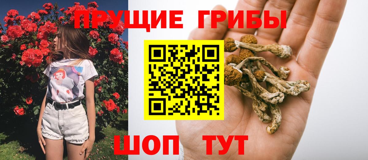 Псилоцибиновые грибы ЛСД Карабулак